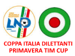 Coppa italia dielttanti