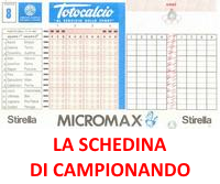Schedina