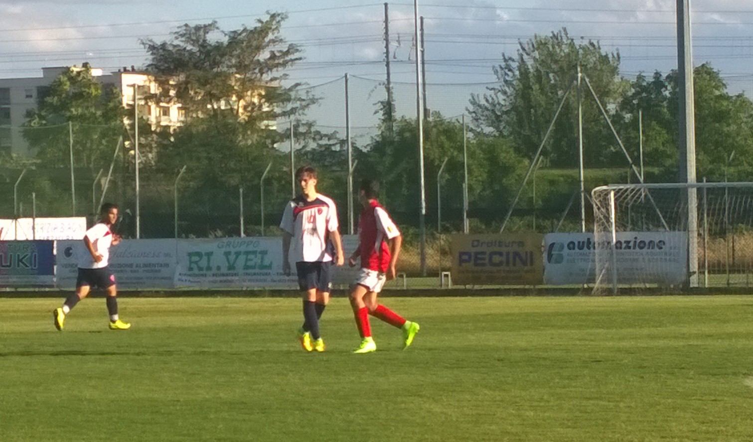  Viaccia - CF2001