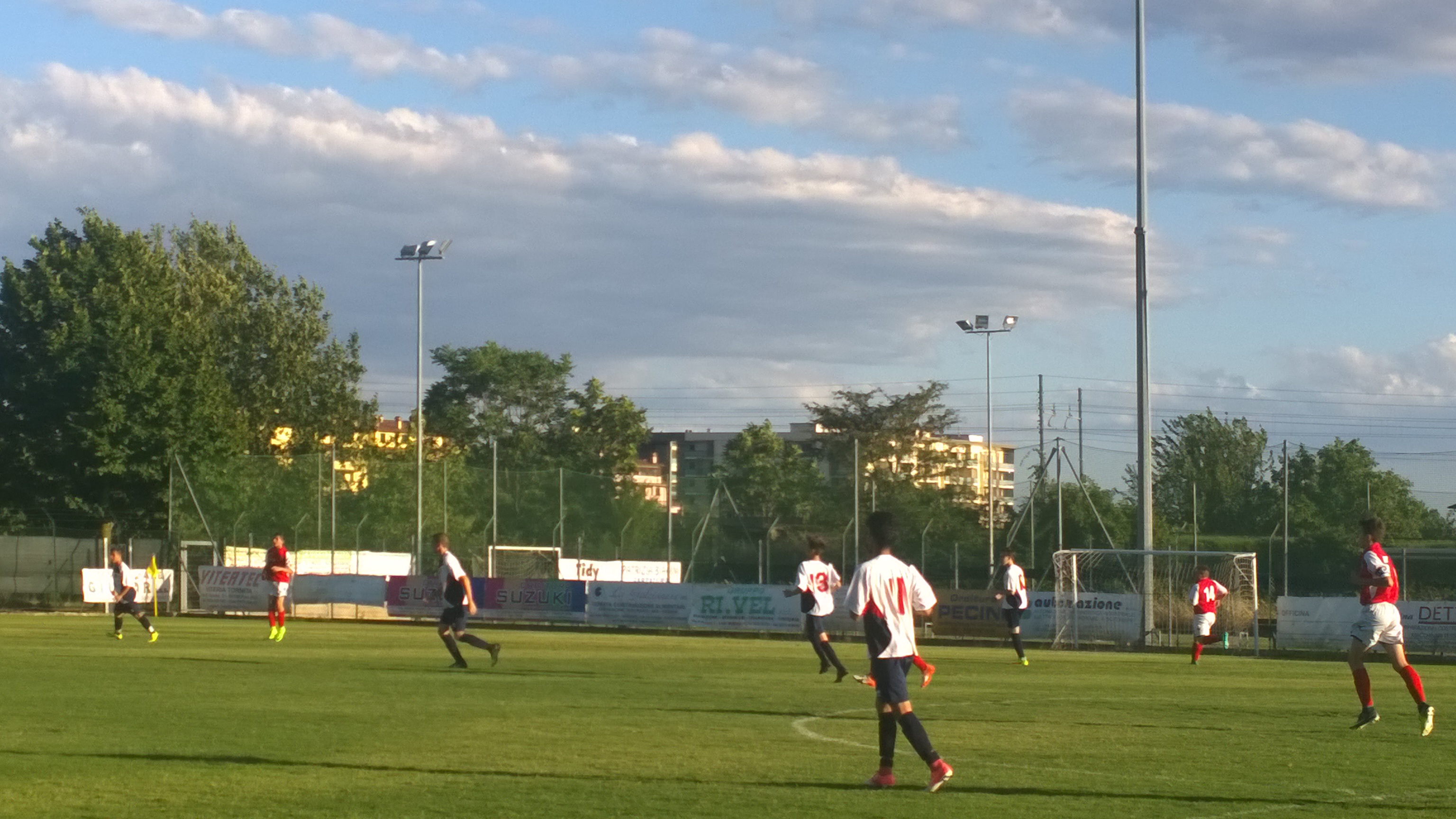  Viaccia - CF2001